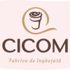 logo cicom vector flag